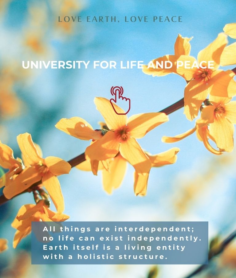 University for Life and Peace-圖片