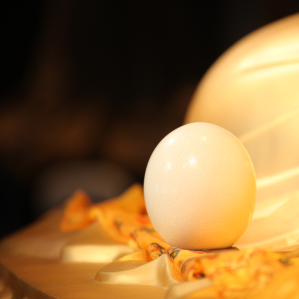 僧众春安居，在禅修闭关中悟明本心-心道法师