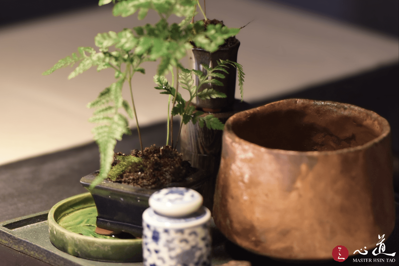 苔土中生長的蕨類盆栽與樸拙陶器，呼應靈鷲山心道法師所說菩提心如種子，透過修行不斷灌溉，自然成長結果