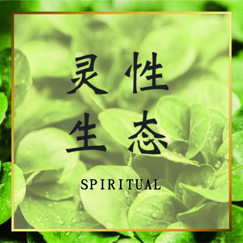 灵性生态