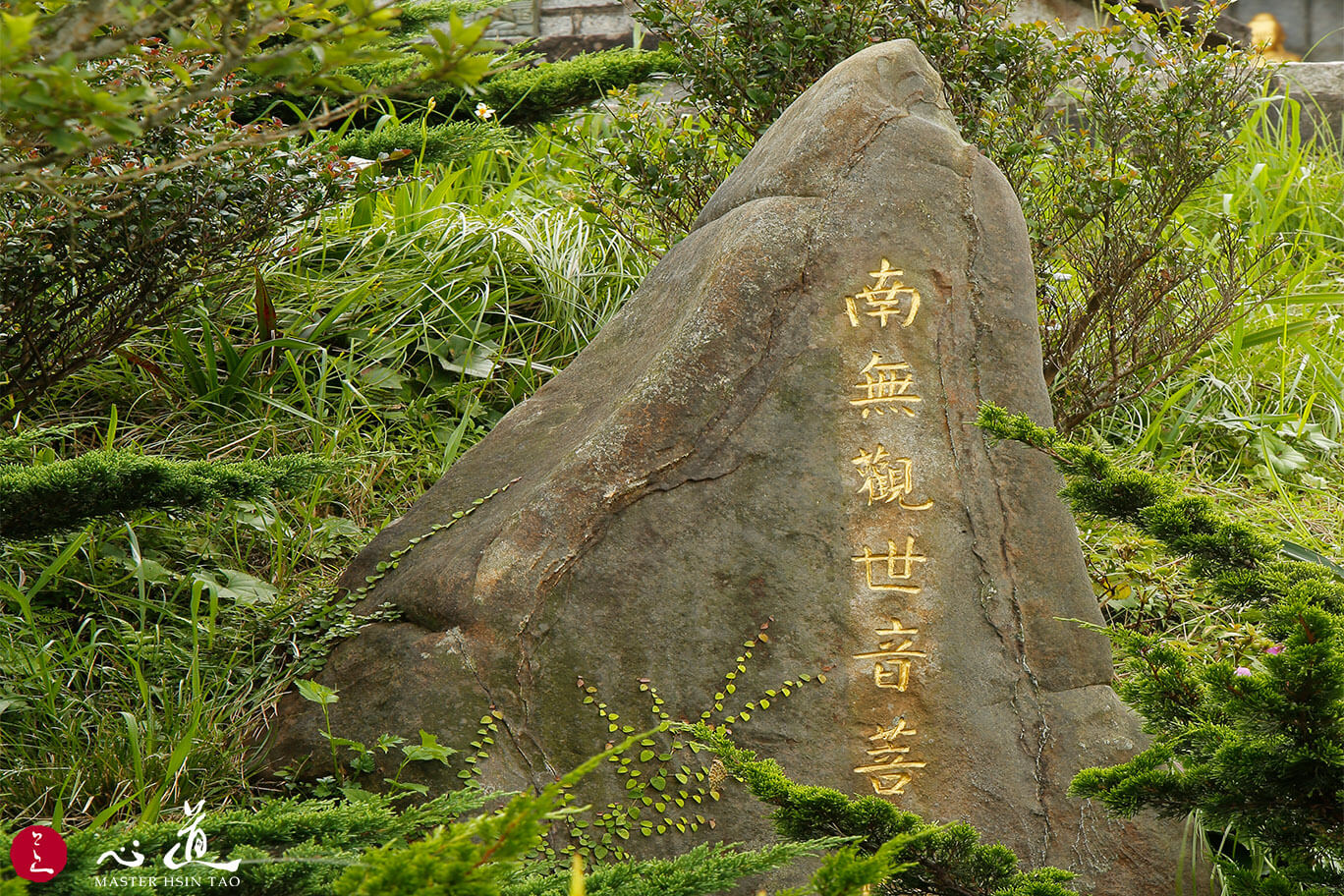 親近觀音菩薩-心道法師