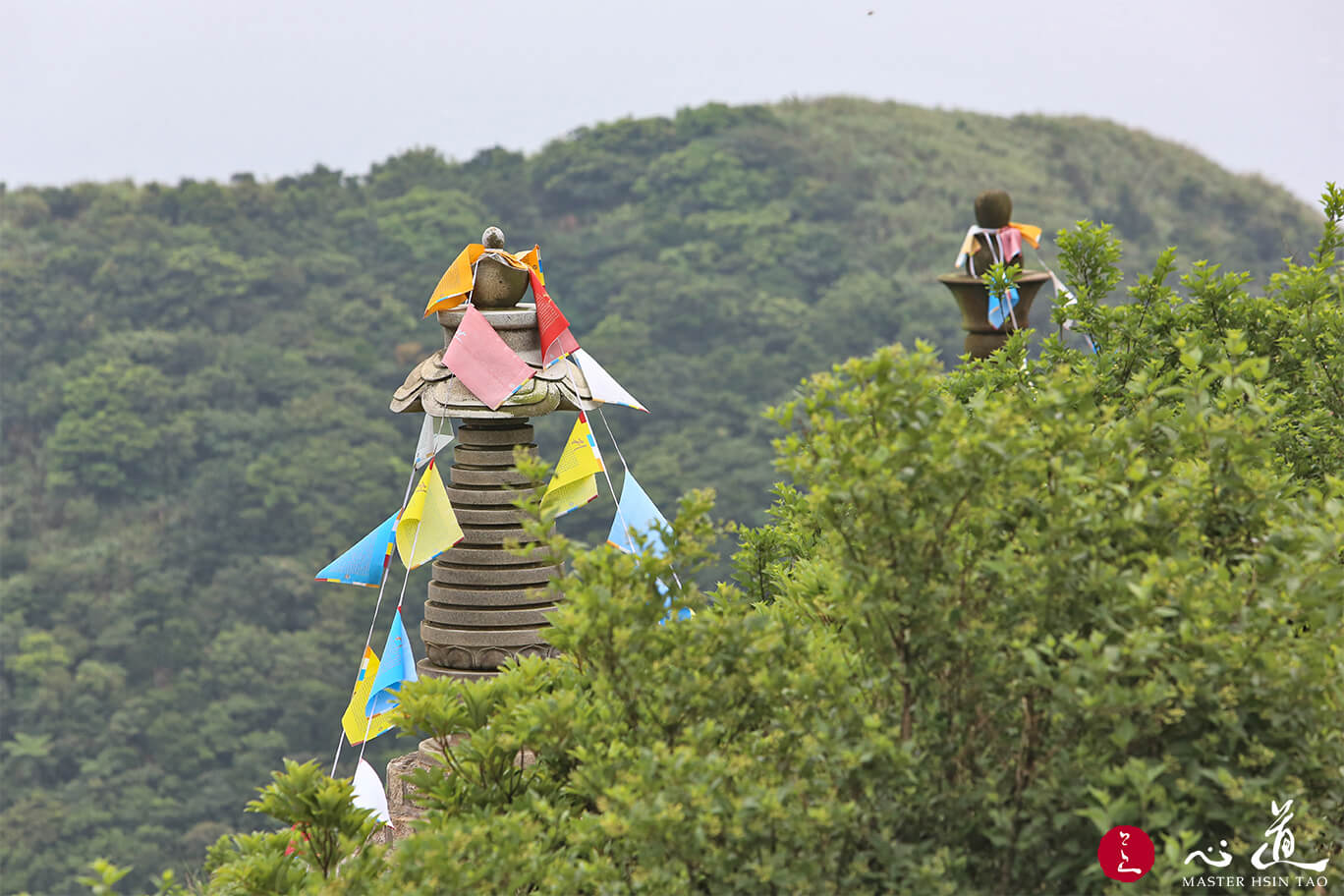 意不颠倒 老神在在-心道法师