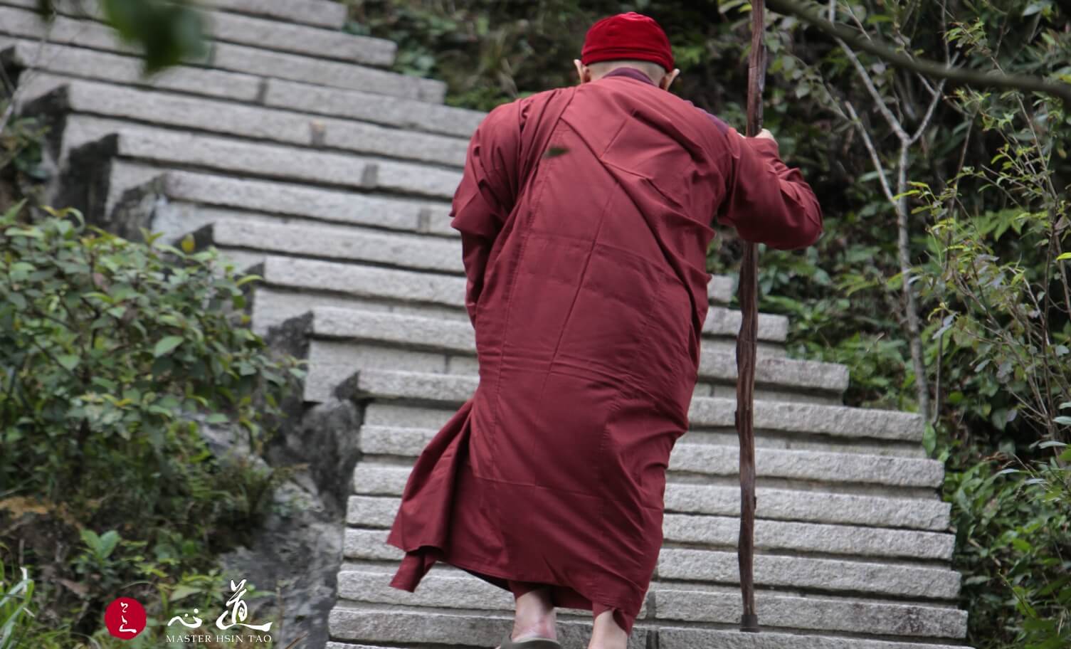 愿力的实践-心道法师