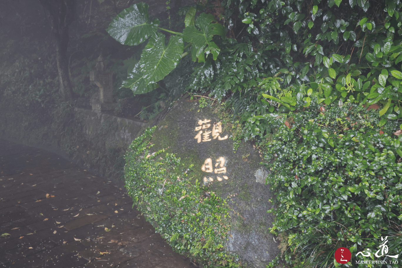 心道法師佛法開示-寧靜即在觀照自心，而非觀照外在一切的現象變化。寧靜以後，我們就能看到心的存在。