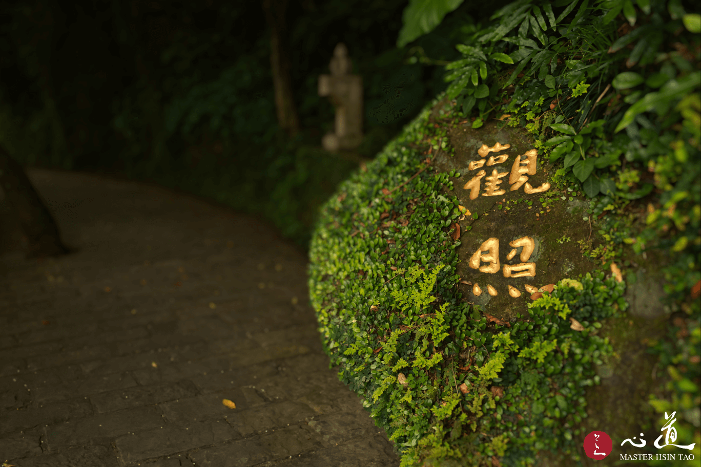 心道法師佛法開示-靈鷲山山景-觀照