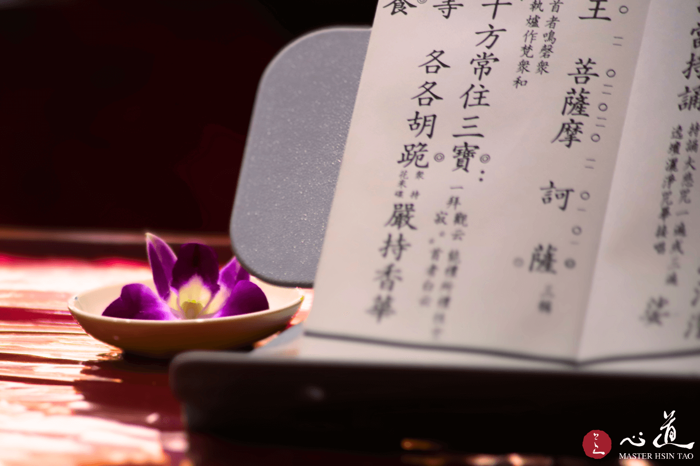 心道法师,佛法开示,经本,花朵