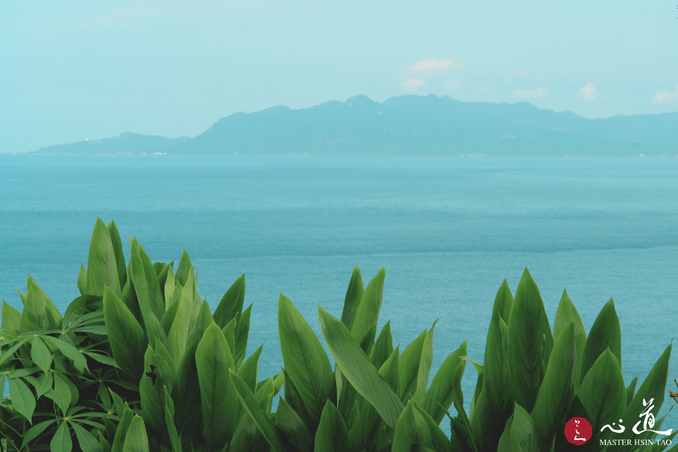 心道法師, 靈鷲山海景, 靈鷲山
