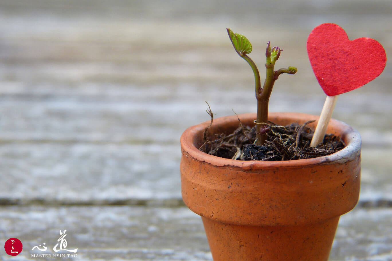 NY Special - Sustaining Earth by Returning to Spirituality -MasterHsinTao